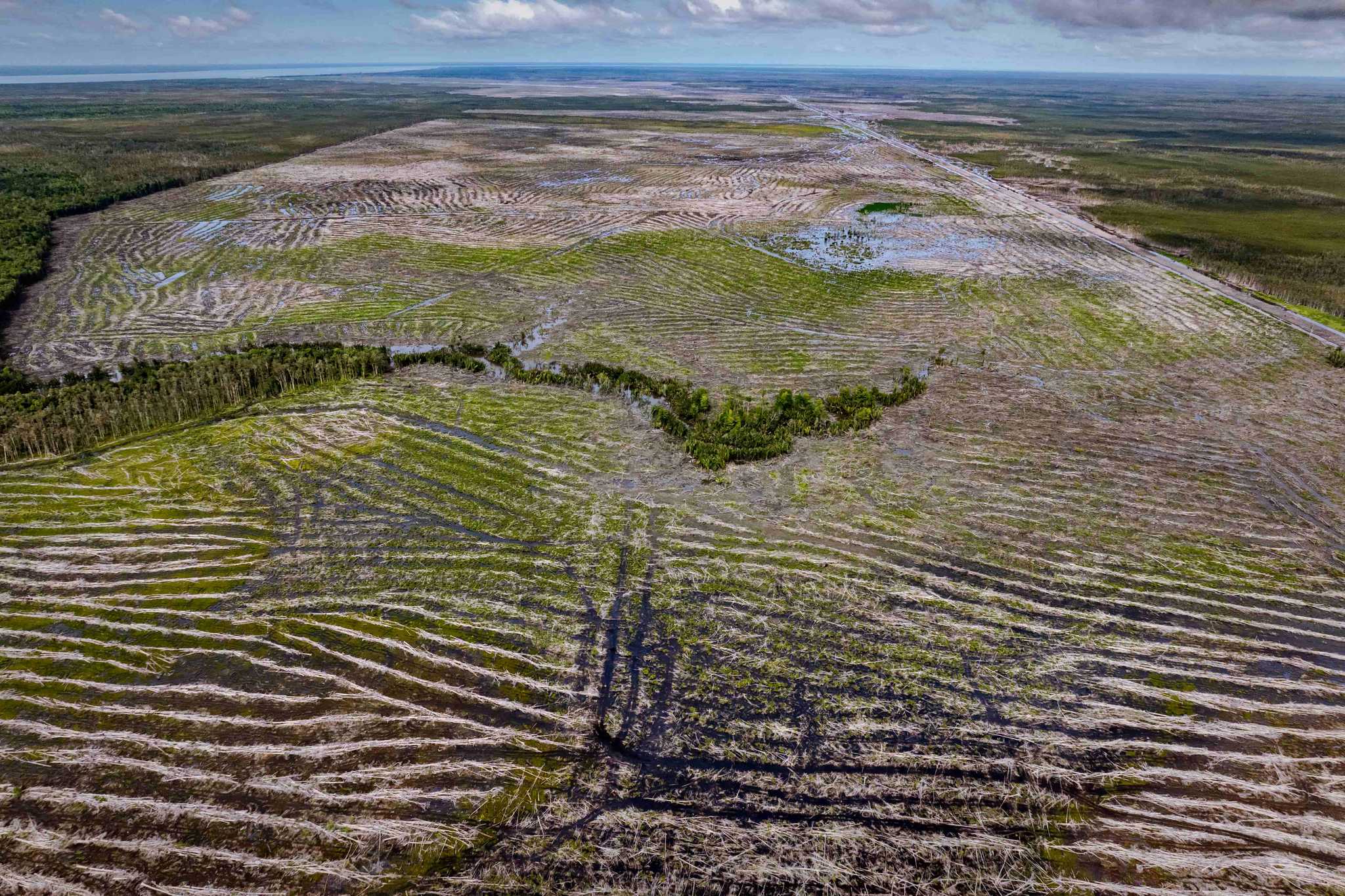 Logging lines carve through green forests