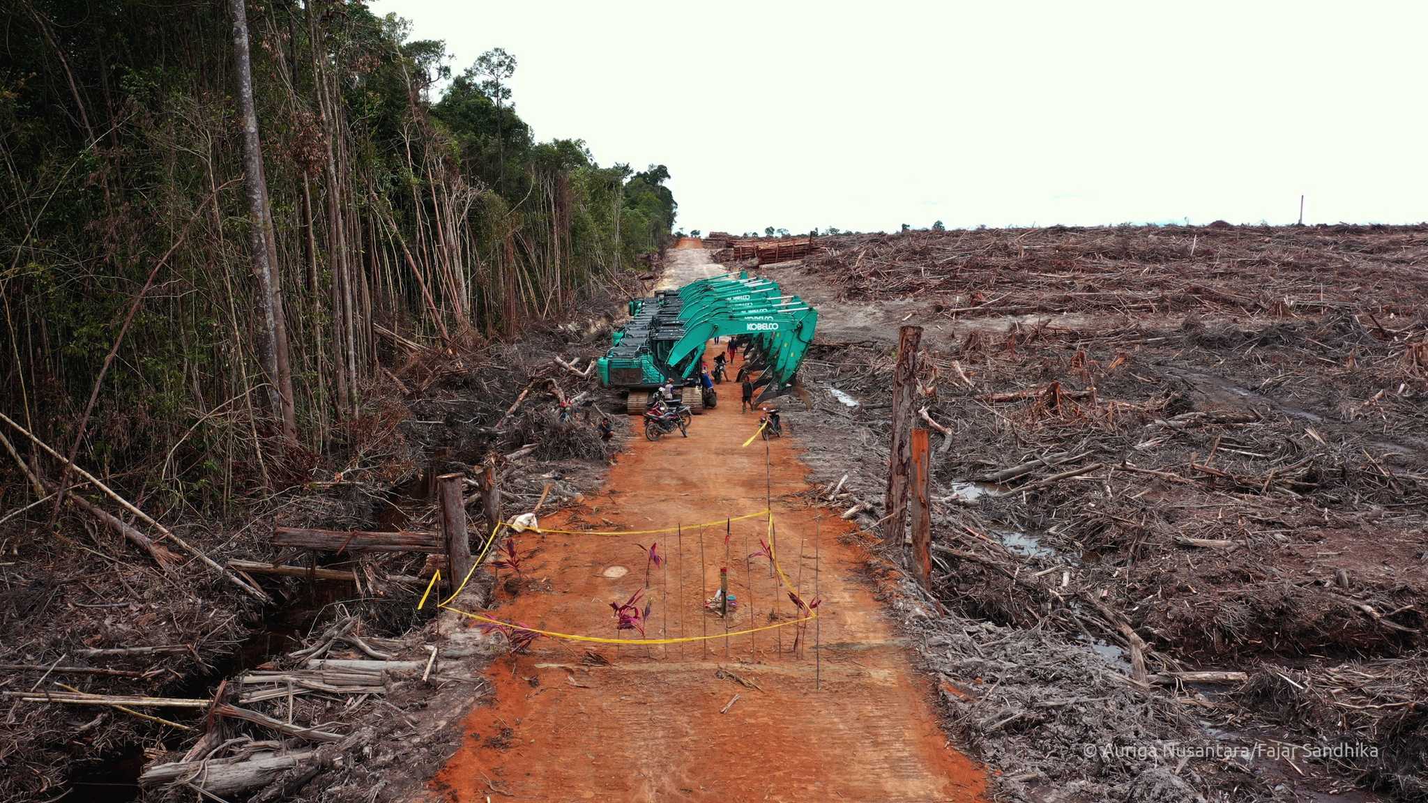 Deforestation by PT Mayawana Persada in an area belonging to the Dayak Benua Kualan Hilir indigenous community, in West Kalimantan province.